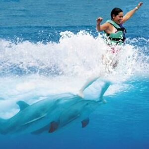 CANCUN-RIVIERA-MAYA-Dolphin-swim-Cancun